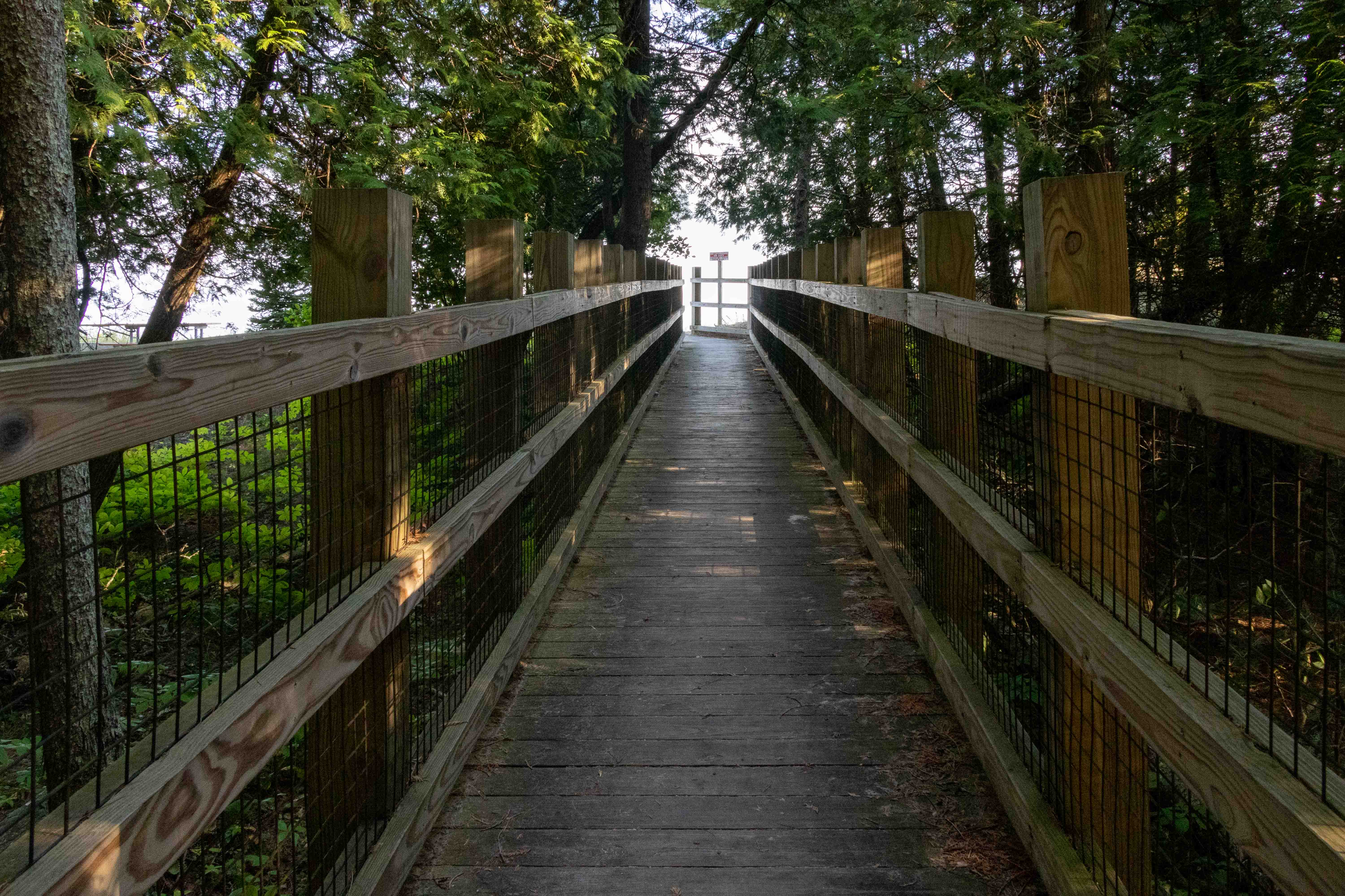 Wooden Walk Way to the Beach